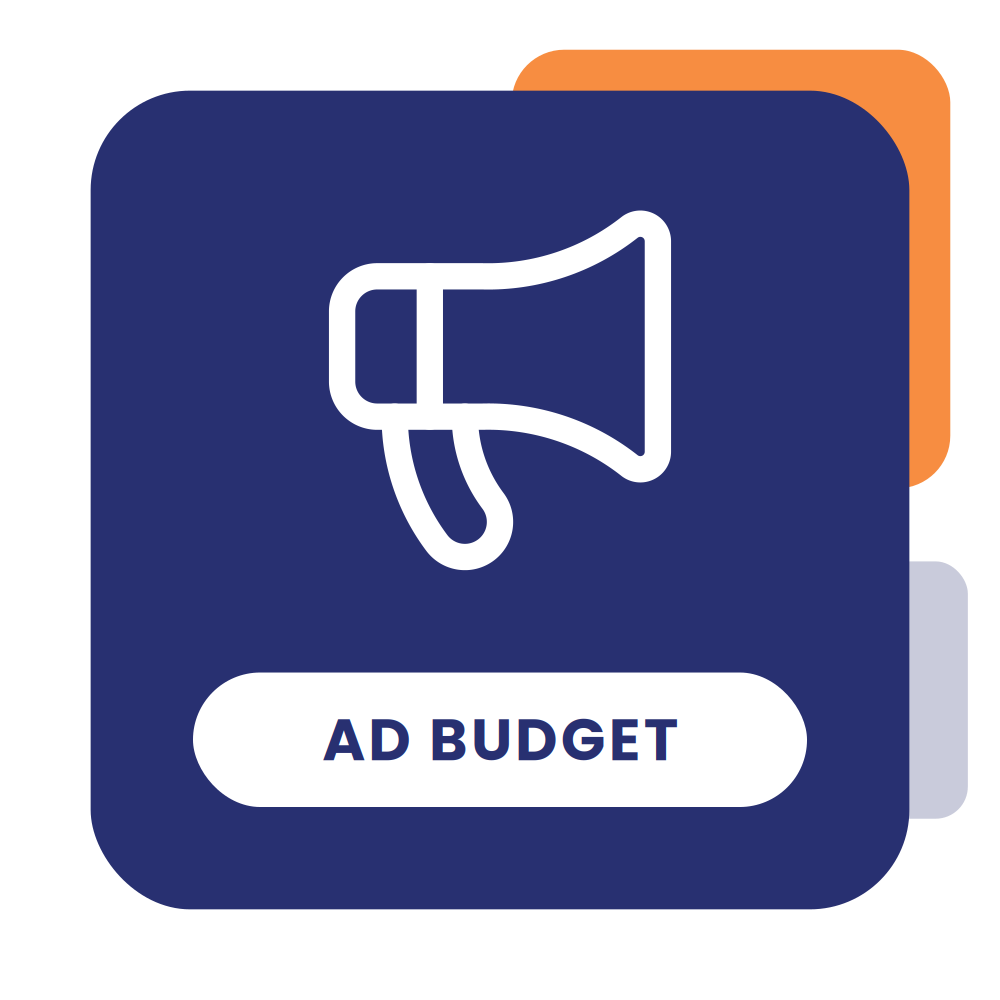 Social Media Ad Budget